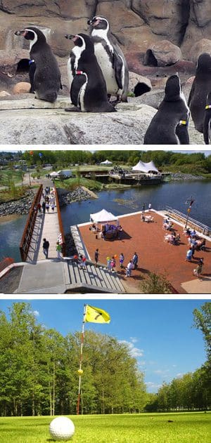 Attractions