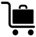 When Baggage is Lost or Delayed